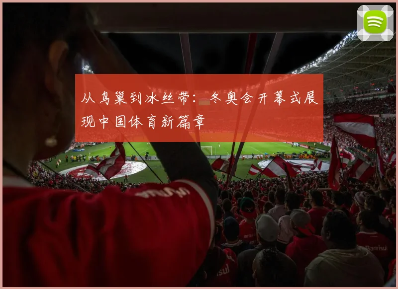 从鸟巢到冰丝带:冬奥会开幕式展现中国体育新篇章