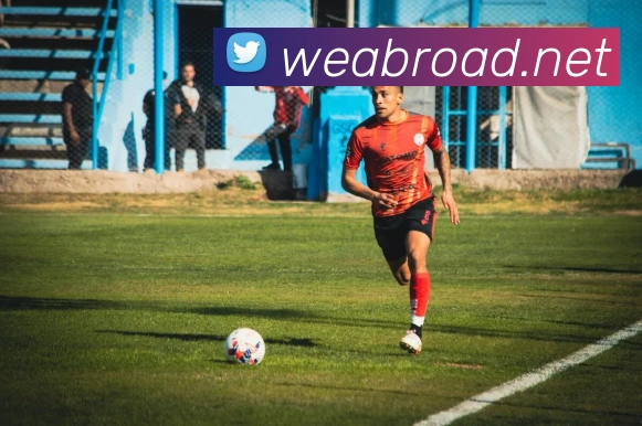 开云网页版入口手机版平台生态图