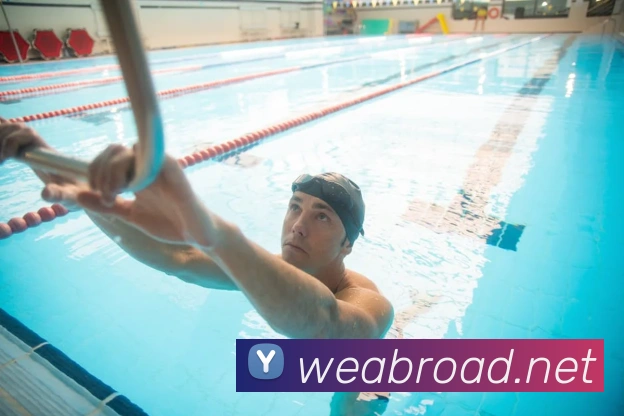 开云网页版入口手机版APP 封面图